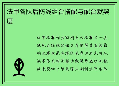 法甲各队后防线组合搭配与配合默契度